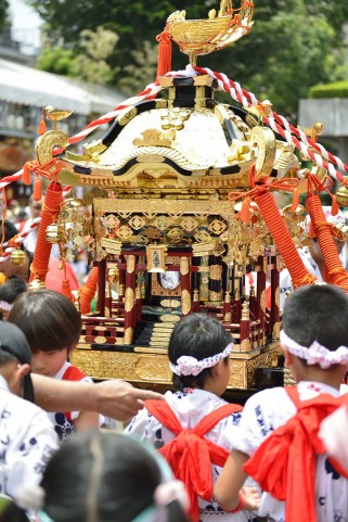 Matsuri